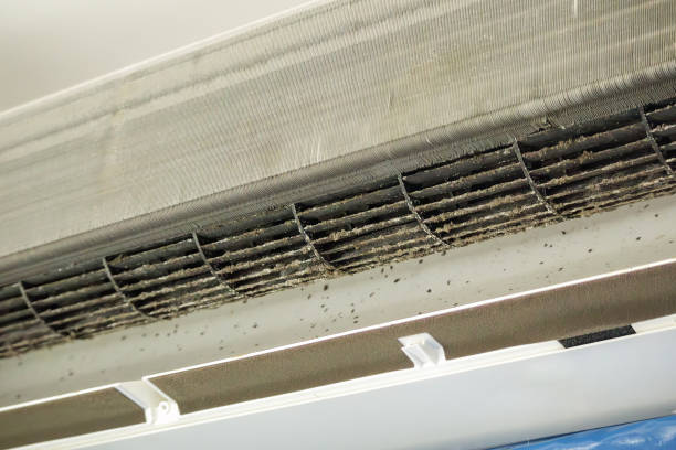 Best Home Air Vent Cleaning  in Redlands, CA